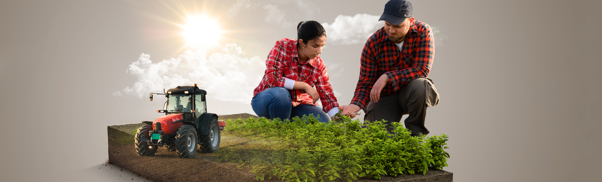 Más de 440 mil días de incapacidad otorgados a trabajadores del sector agrícola