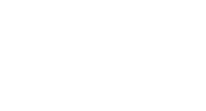 Logo INS 100 años